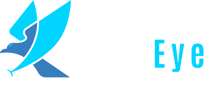 EagleEye Intelligence